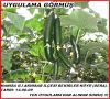 Ferbanat uygulanmış