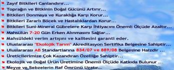 Ferbanat L Özellikleri